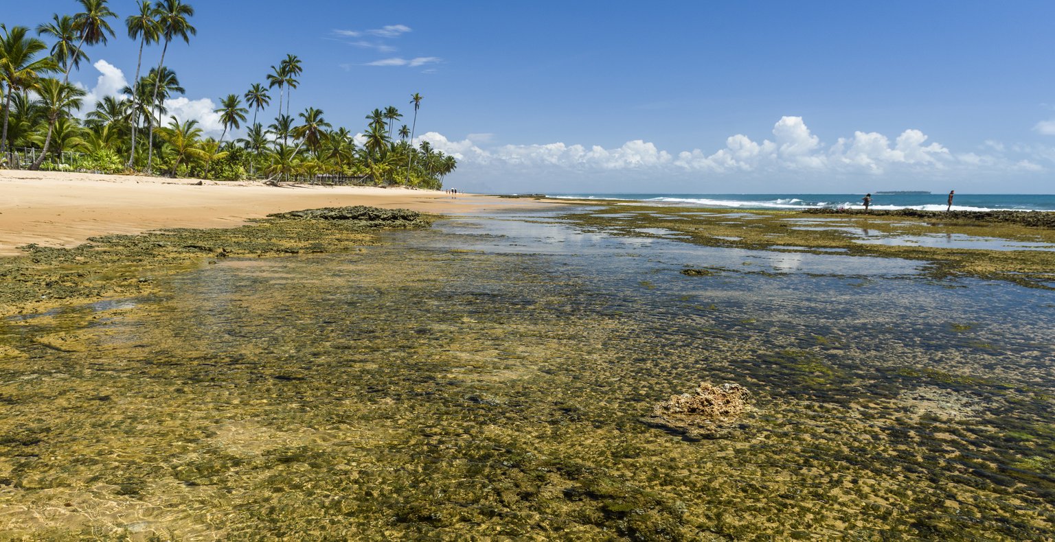 Find cheap flights to Marau Sound