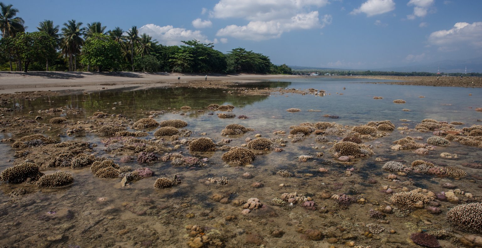 Günstige Flüge von Singapur nach Maumere ab 226 €