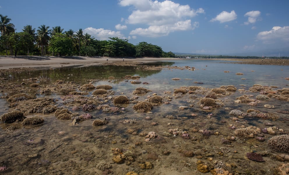 Cheap car rentals in Maumere, Indonesia