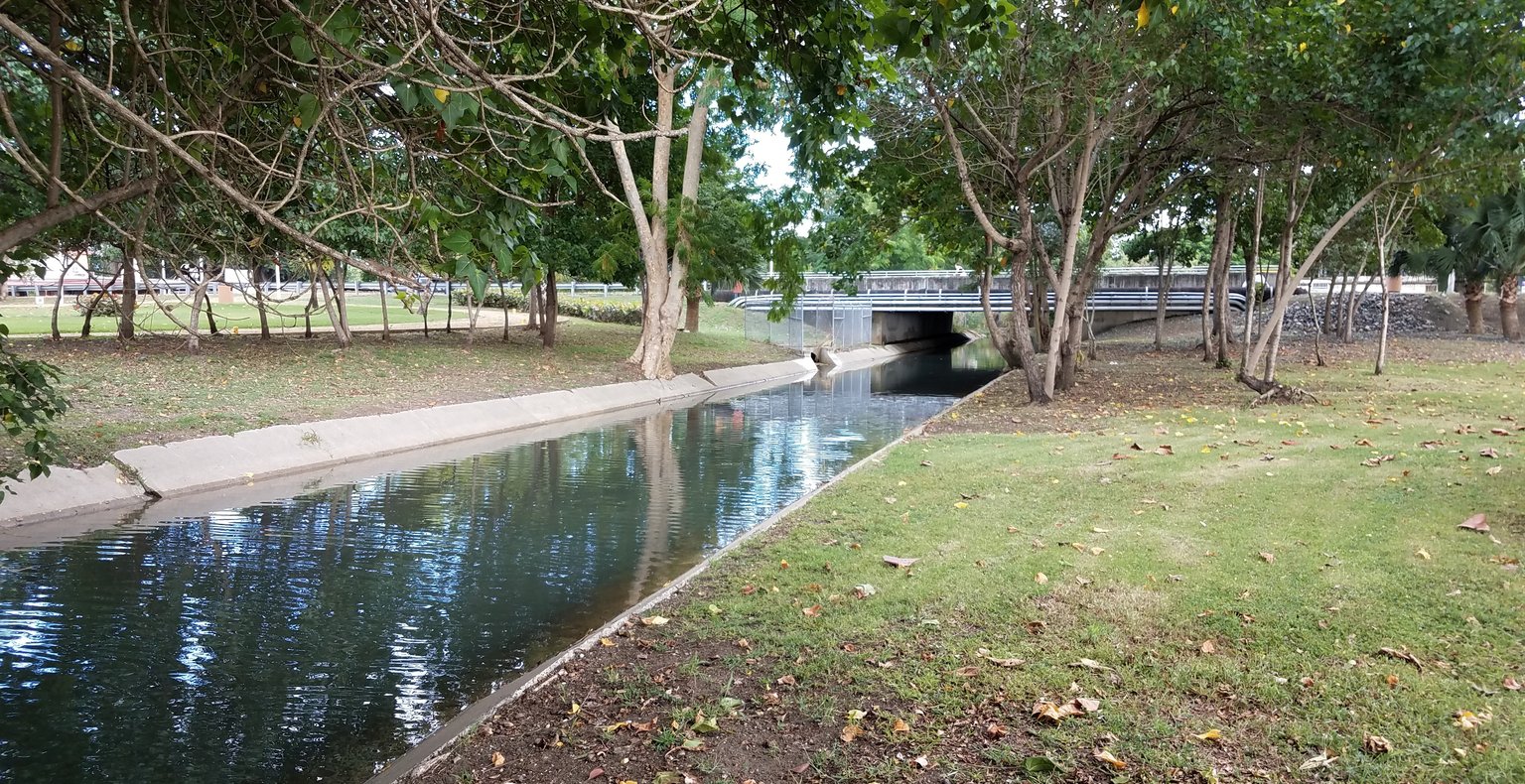 Find cheap flights to Mayagüez from £158