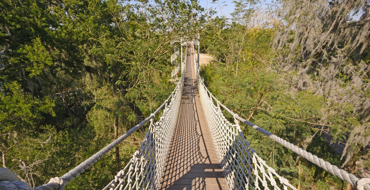 Cheap flights from Guayaquil to McAllen from $278