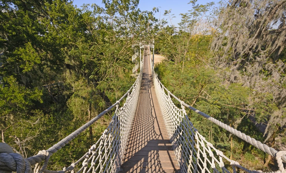 Cheap car rentals in McAllen, United States