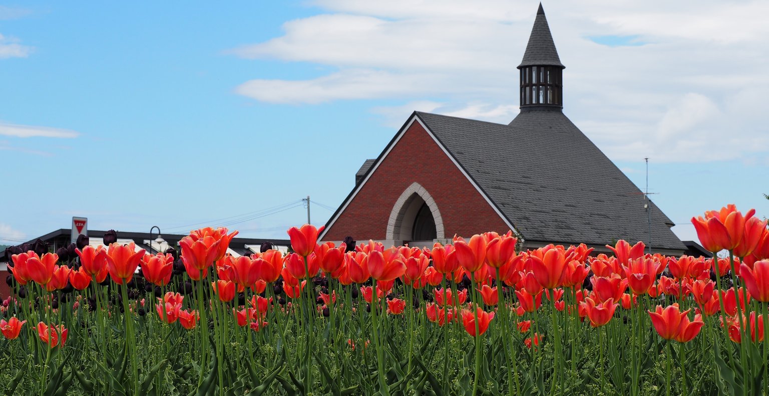Полети To Monbetsu, Япония