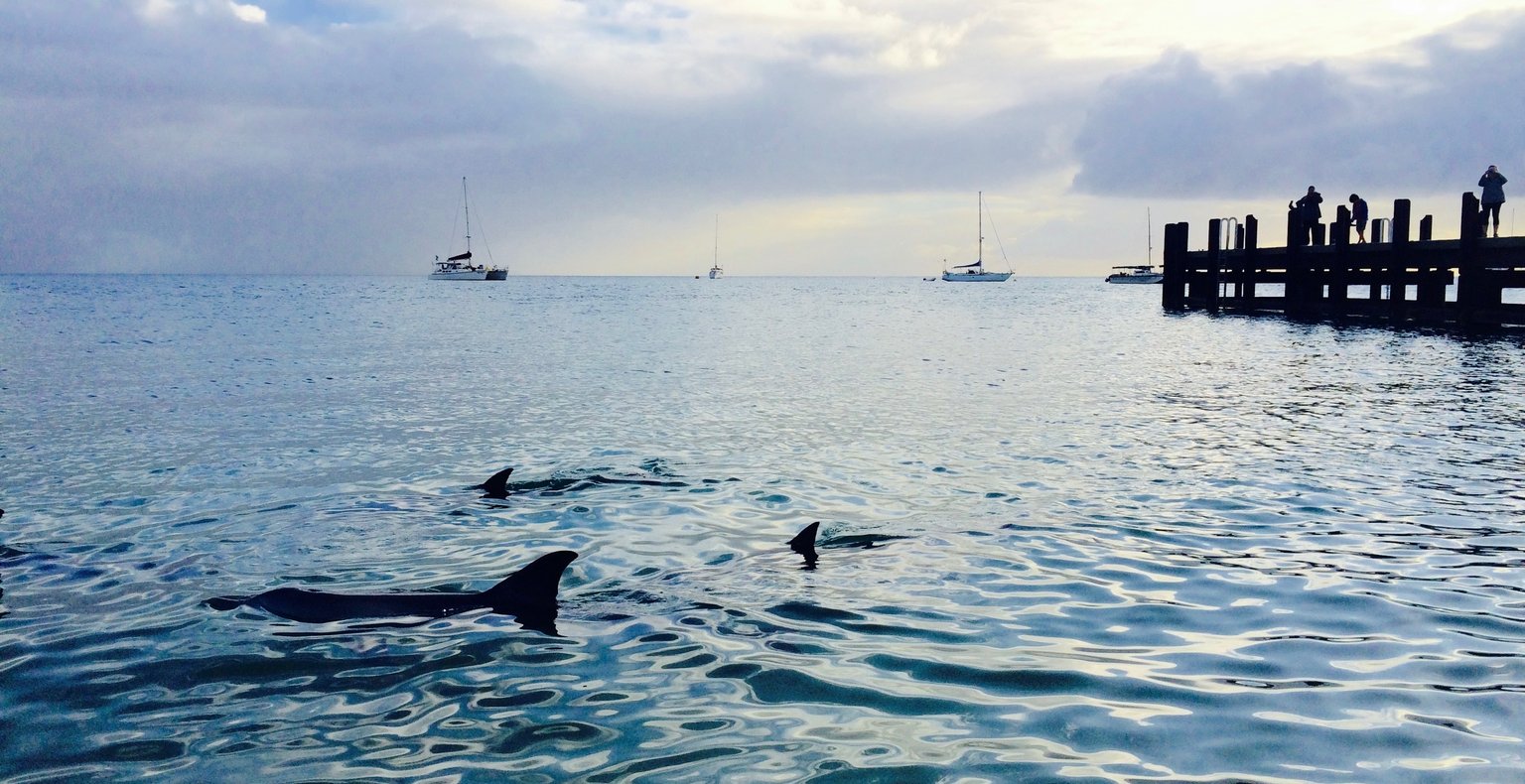 Cheap flights from Perth  from £254