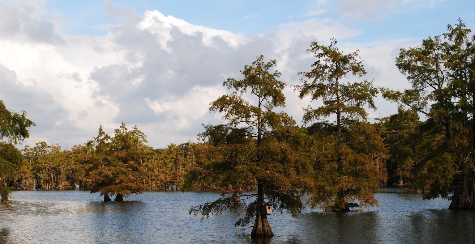 Vuelos baratos de Guadalajara a Monroe a partir de