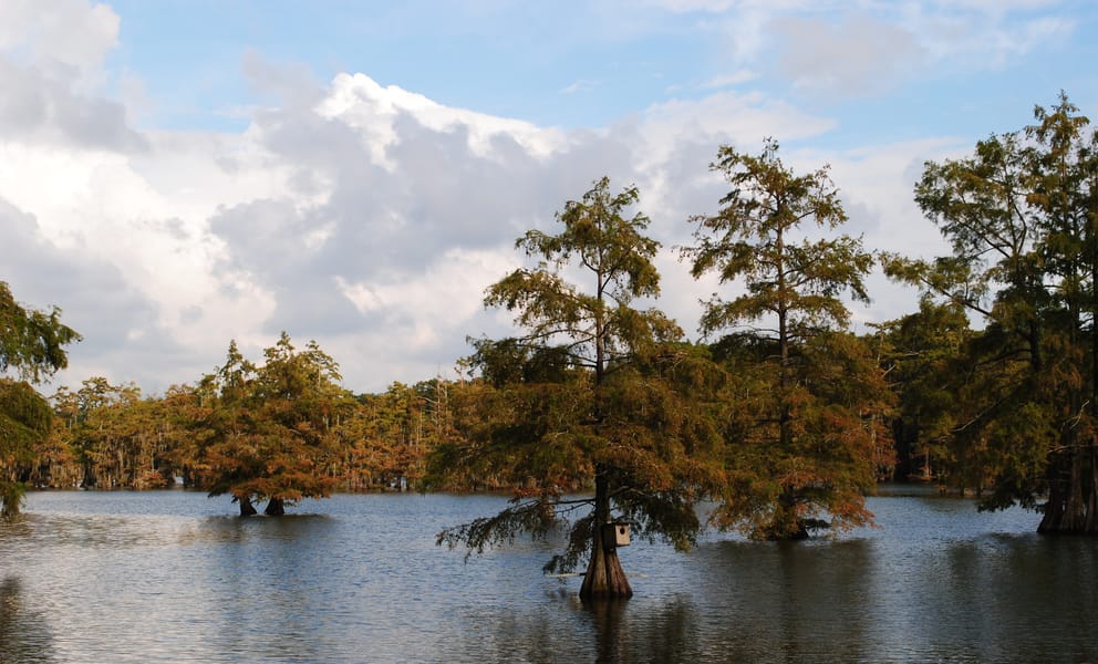 Cheap car rentals in Monroe, United States