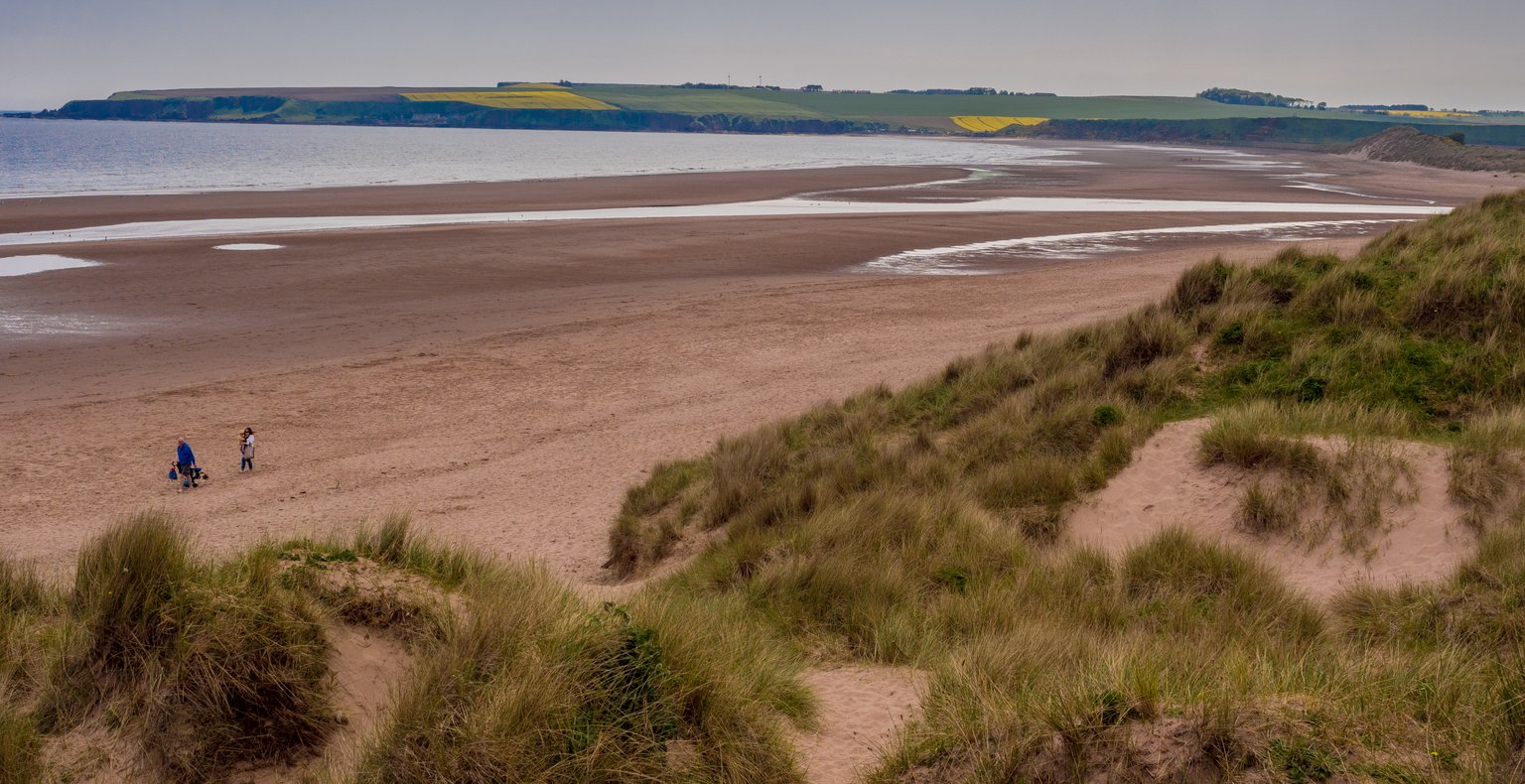 Find cheap flights to Montrose