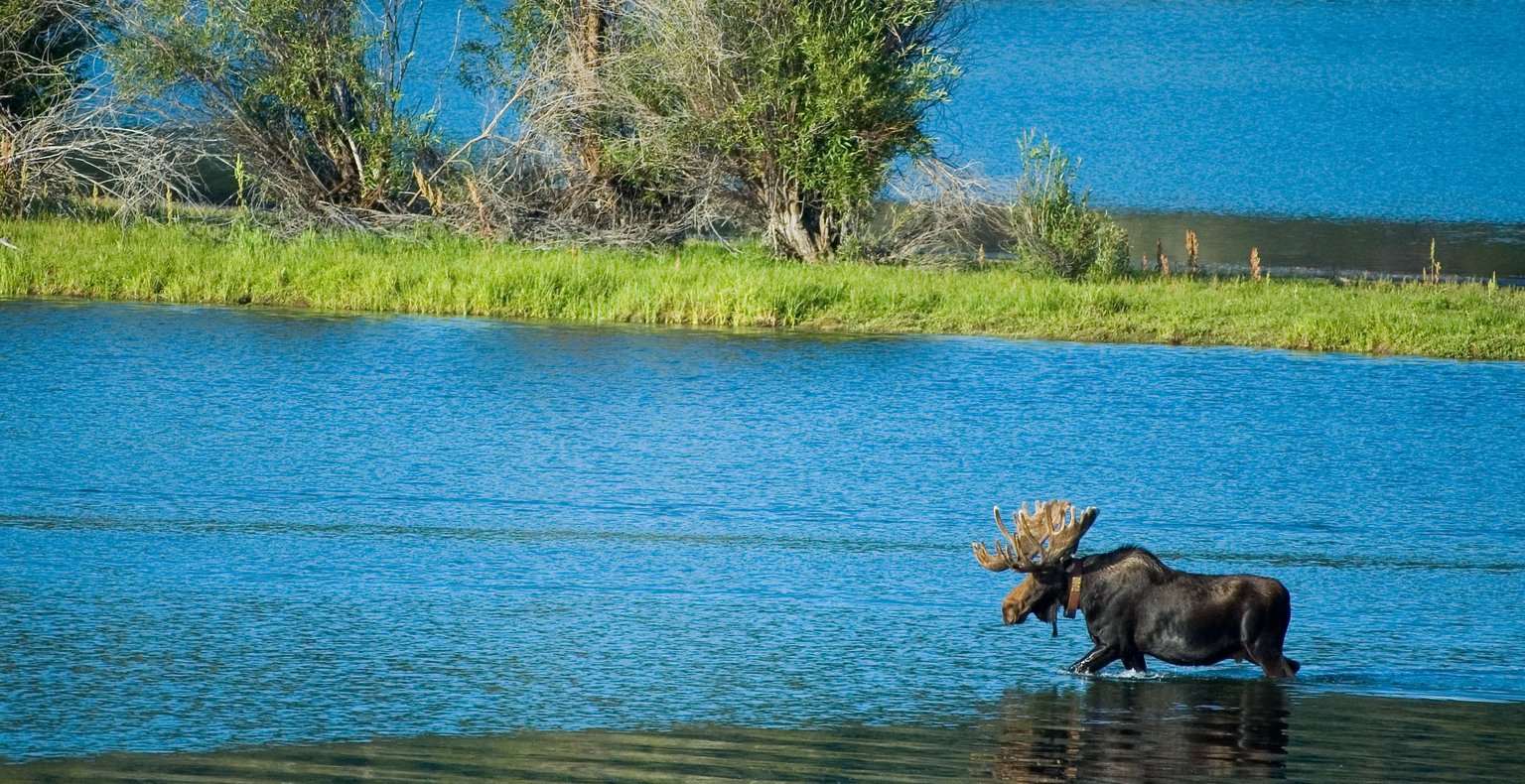 Find cheap flights to Moosonee