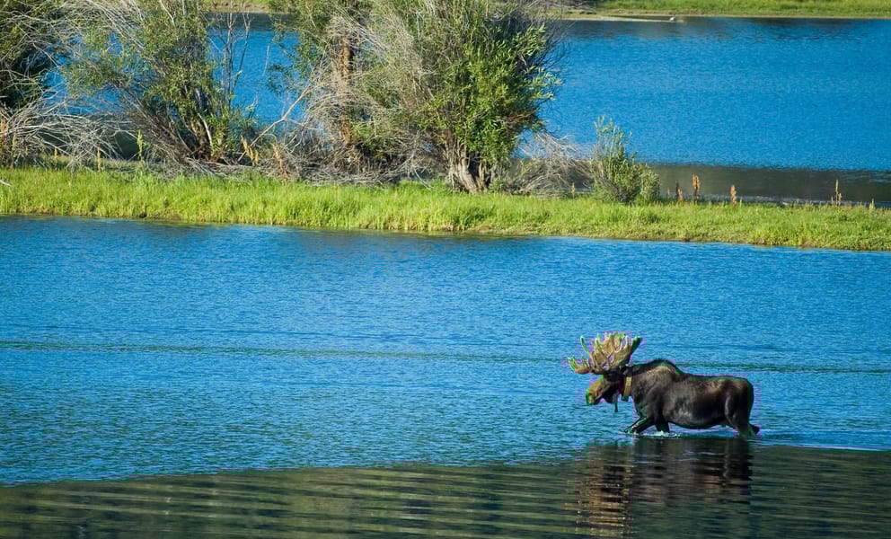 Cheap car rentals in Moosonee, Canada