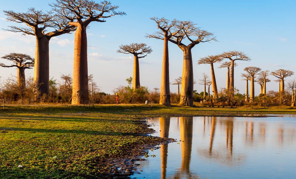 Cheap car rentals in Morondava, Madagascar