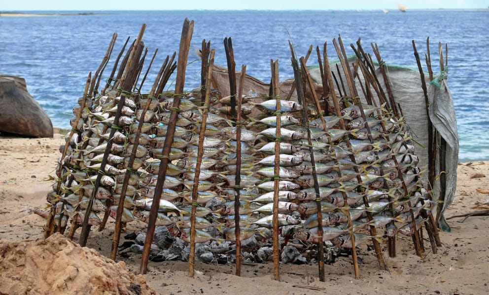 Cheap car rentals in Mtwara, Tanzania