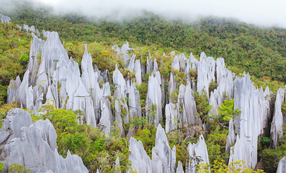 Halvat lennot Sandakanista, Malesia Gunung Mulun kansallispuistoon, Malesia