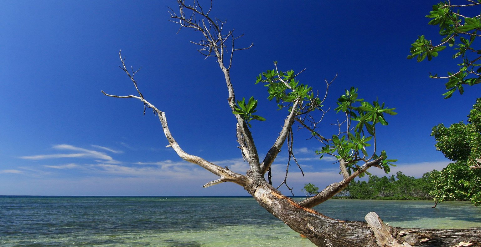 Vols pas chers vers Nabire Regency, Indonésie