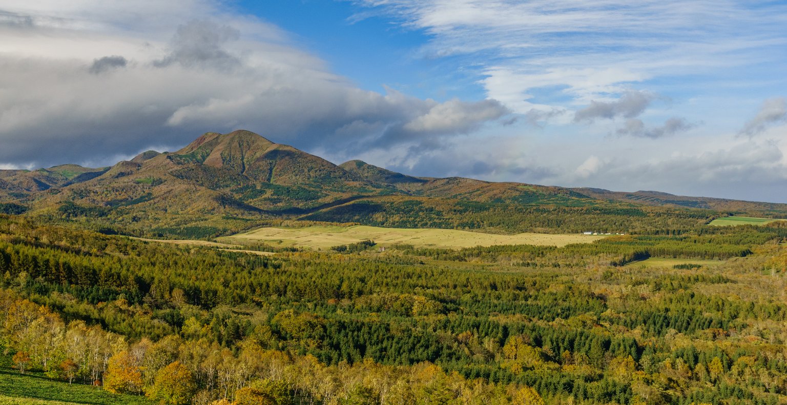 Find cheap flights to Nakashibetsu