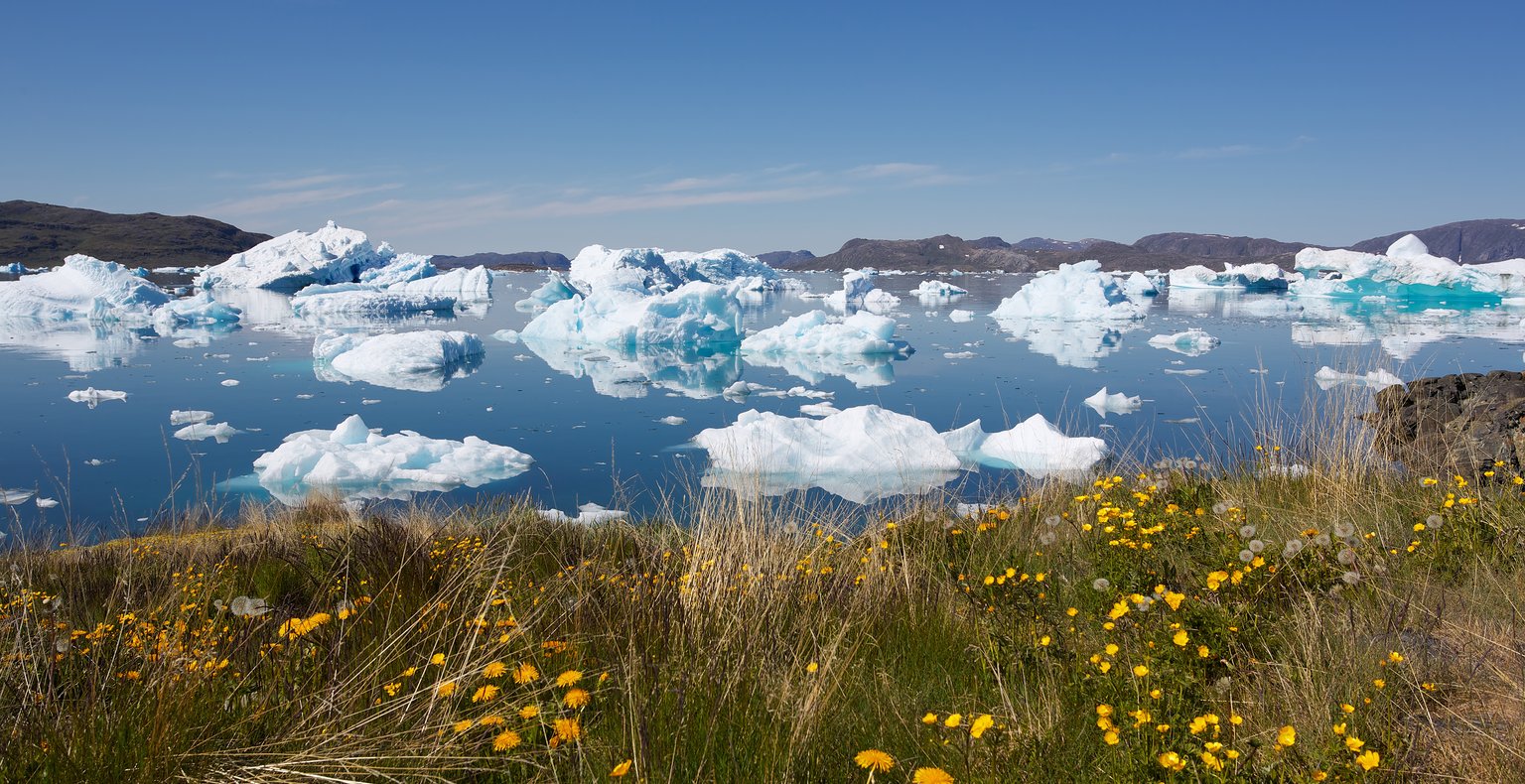 Find cheap flights to Narsaq