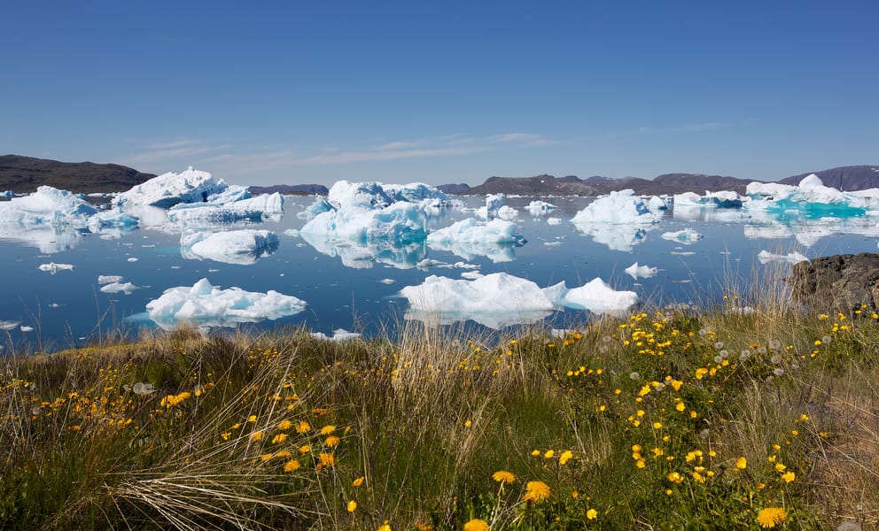 Cheap car rentals in Narsaq, Greenland