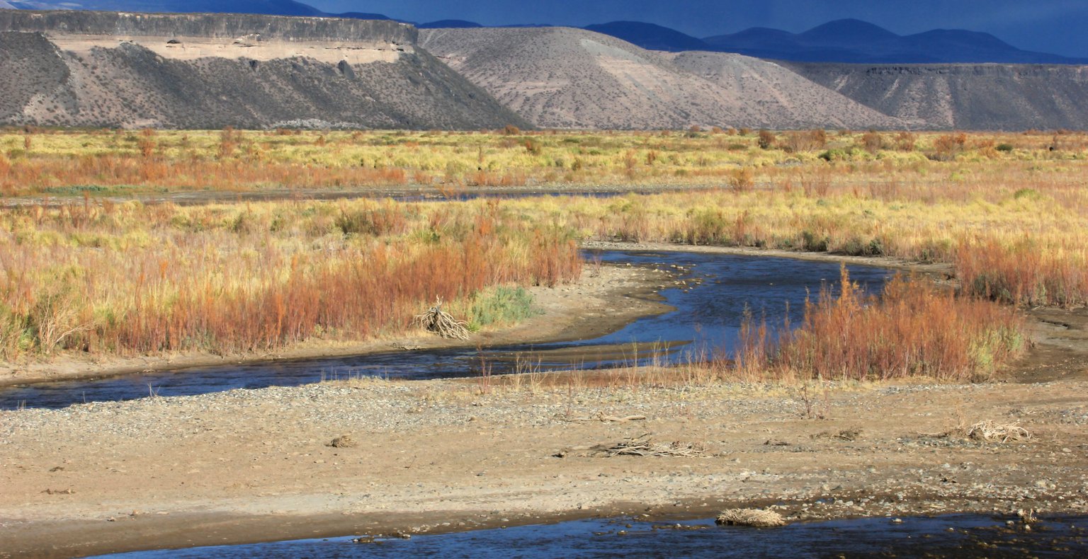 Günstige Flüge nach Neuquén, Argentinien