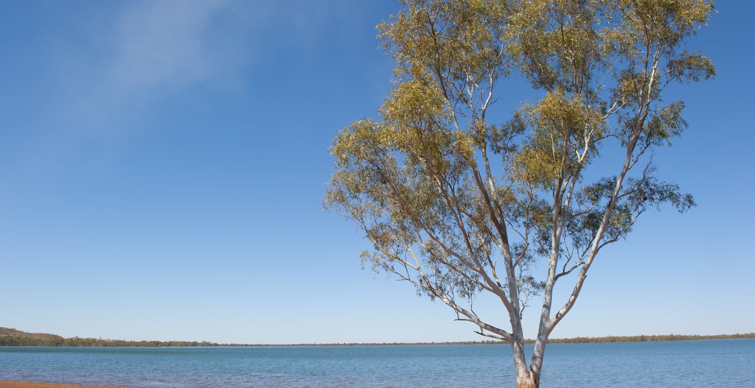 Günstige Flüge to Newman, Australien