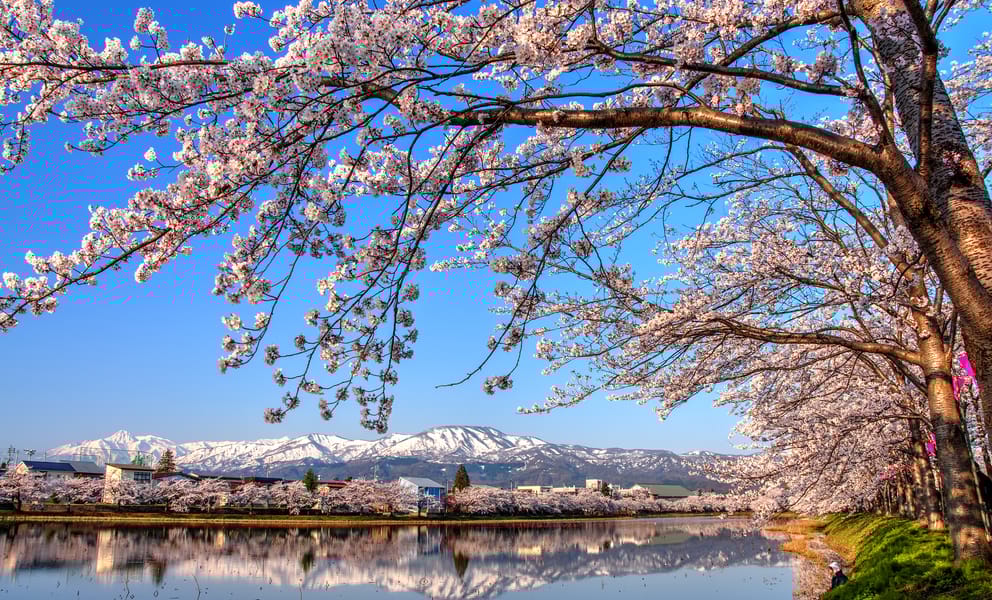 Cheap car rentals in Niigata, Japan