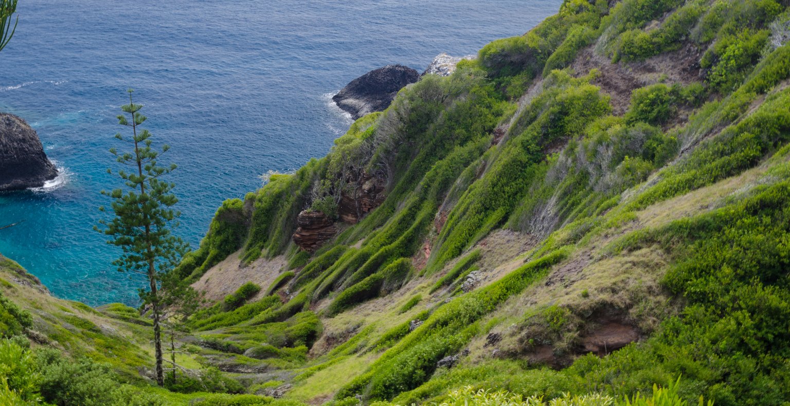 Cheap flights from London to Norfolk from £239