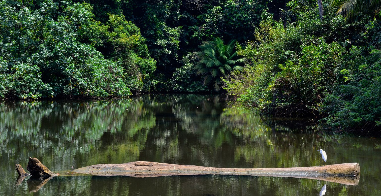 Vuelos baratos de Medellín a Nuquí a partir de 57 €