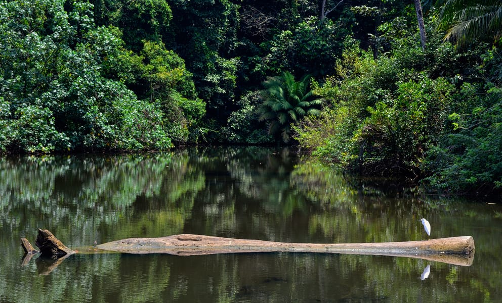 Cheap car rentals in Nuquí, Colombia