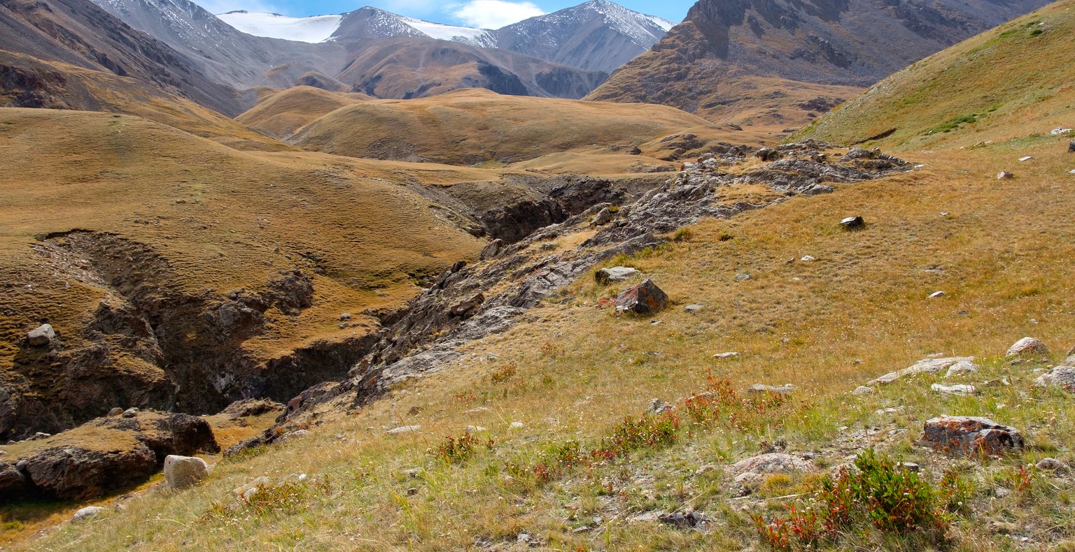 Voli a Ôlgij, Mongolia