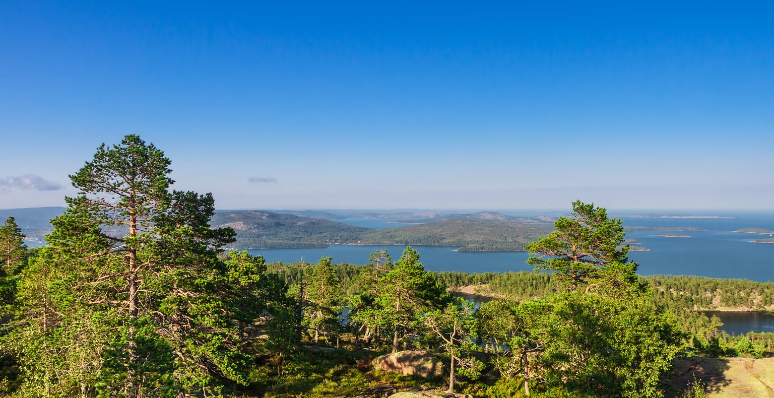 Billiga flyg från Stockholm till Örnsköldsvik från 1,001 kr