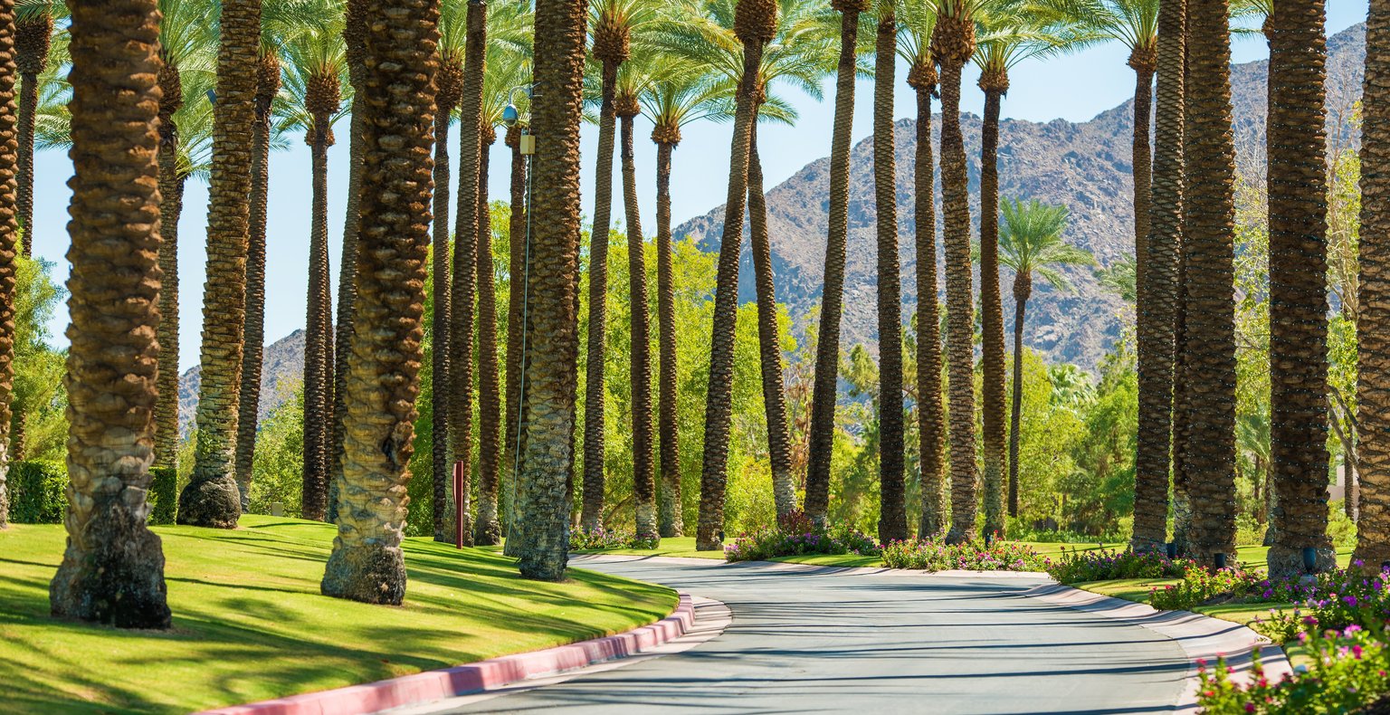 Cheap flights from Edmonton to Palm Springs from CA$165
