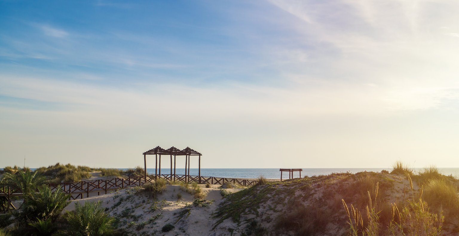 Trouvez des vols à prix mini to Palmar Sur