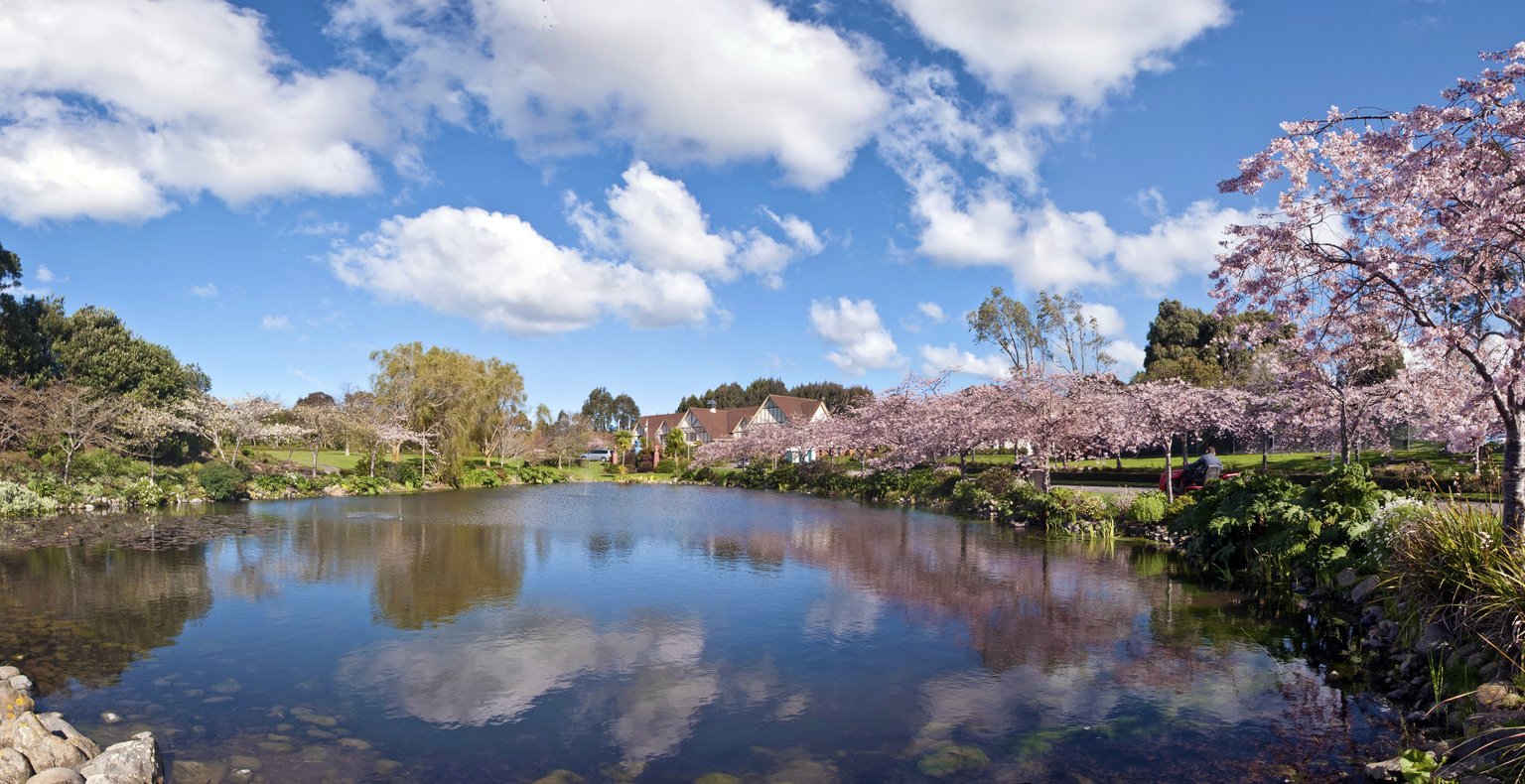 Cheap flights from Tauranga to Palmerston North from £88