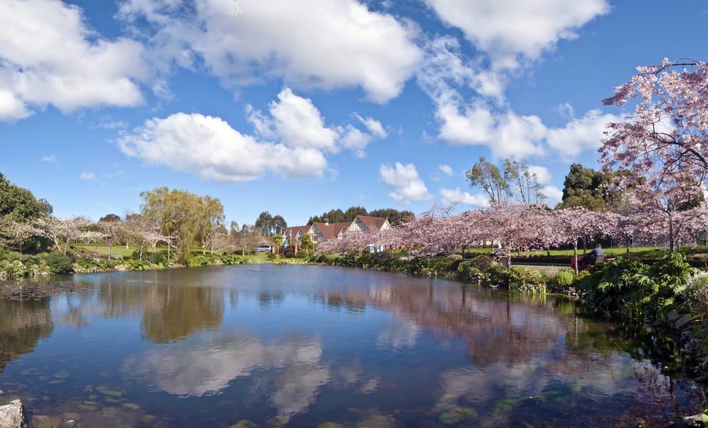 Christchurch to Palmerston North flights from £134