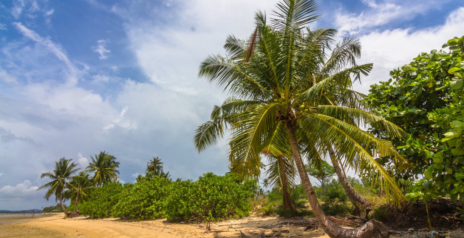 Cheap flights from Palembang to Pangkal Pinang from $40