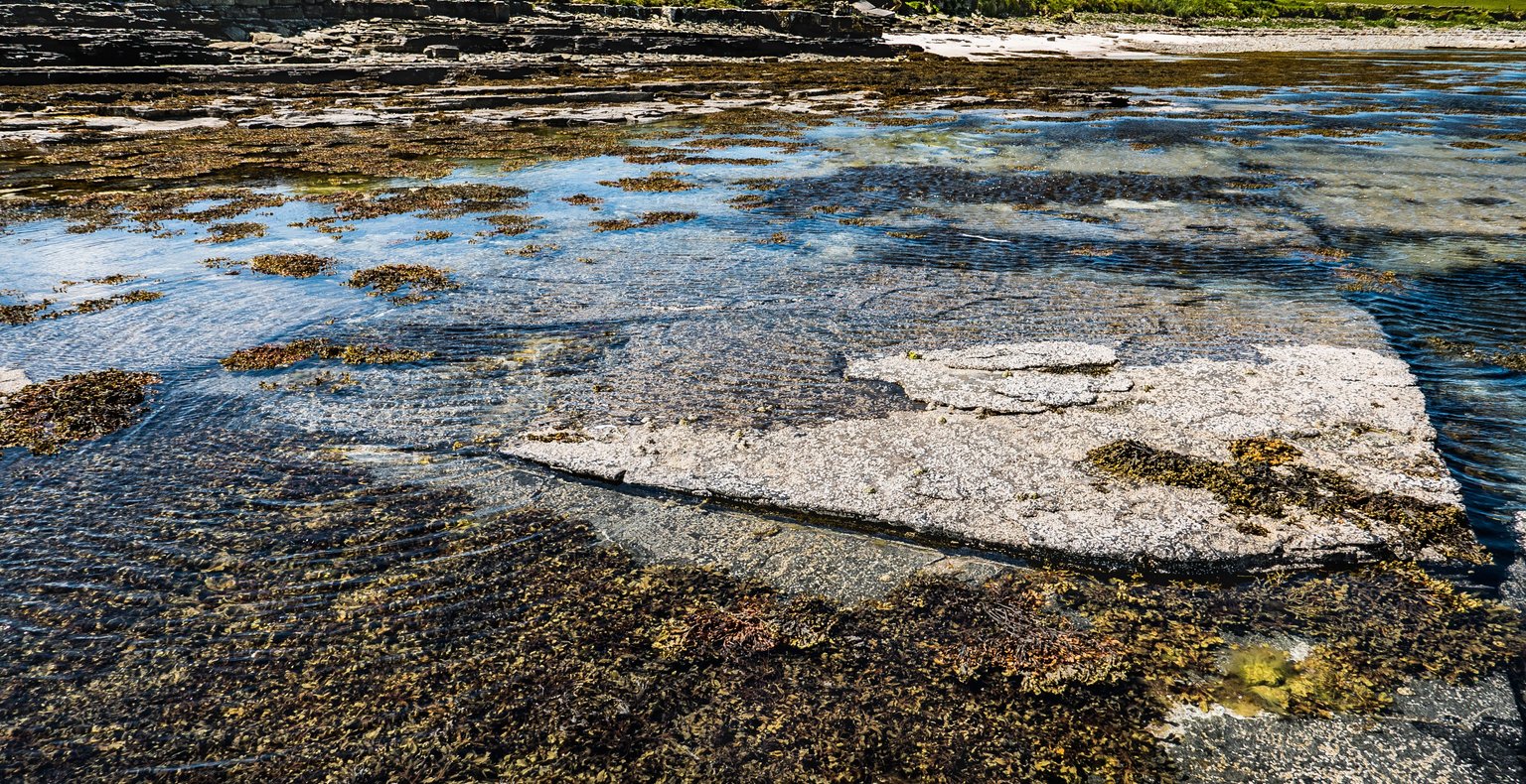 Trouvez des vols à prix mini to Papa Westray