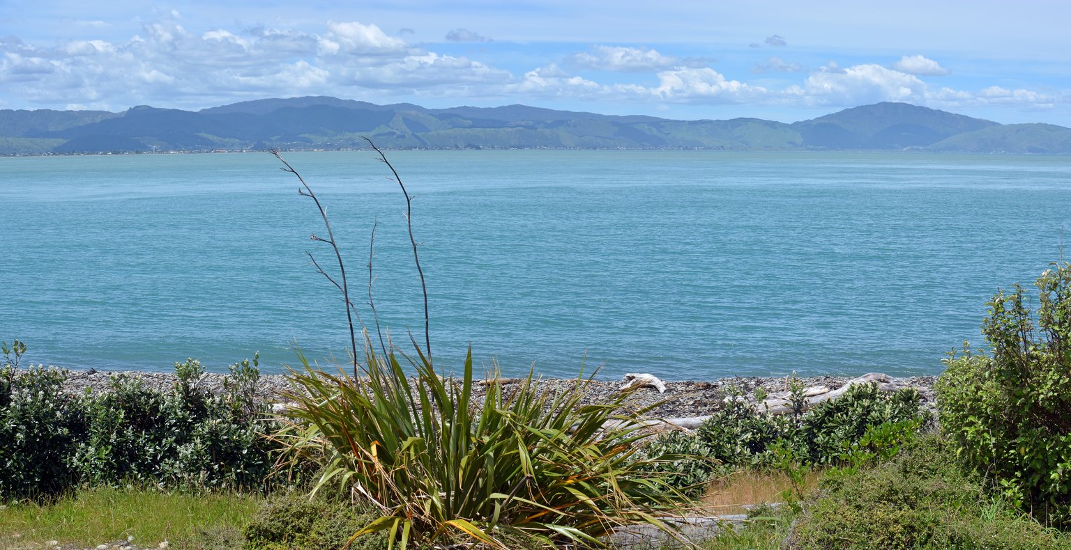 Cheap flights from Auckland from £80