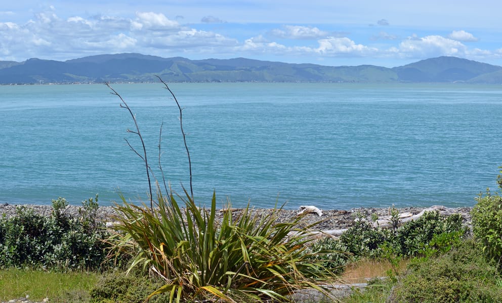 Cheap car rentals in Paraparaumu, New Zealand