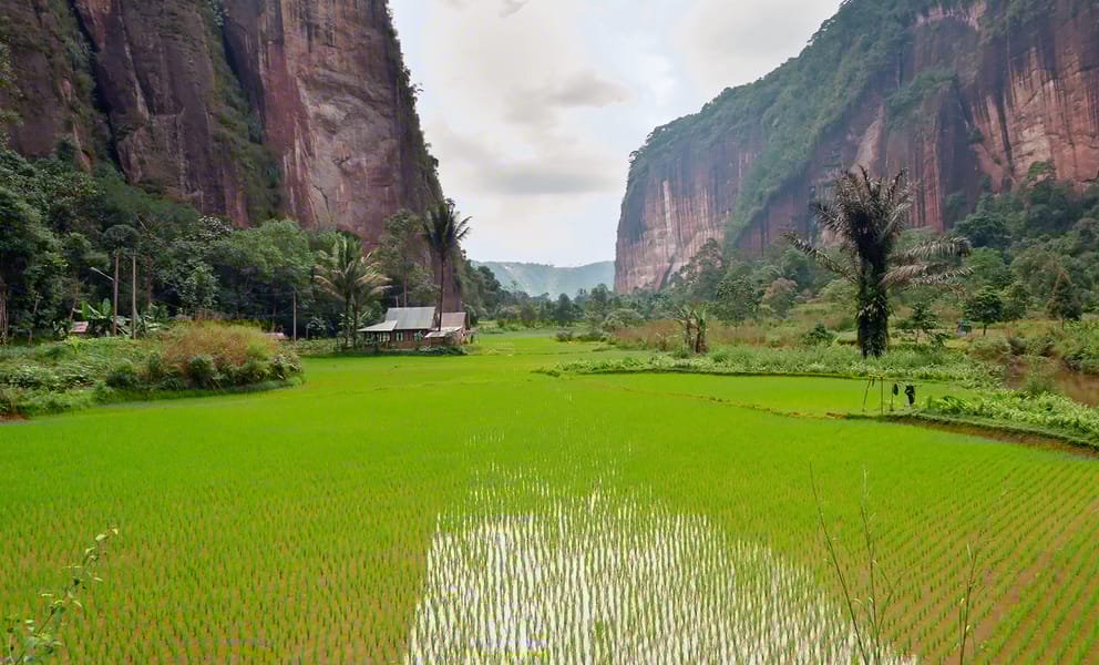 Cheap car rentals in Pekanbaru, Indonesia