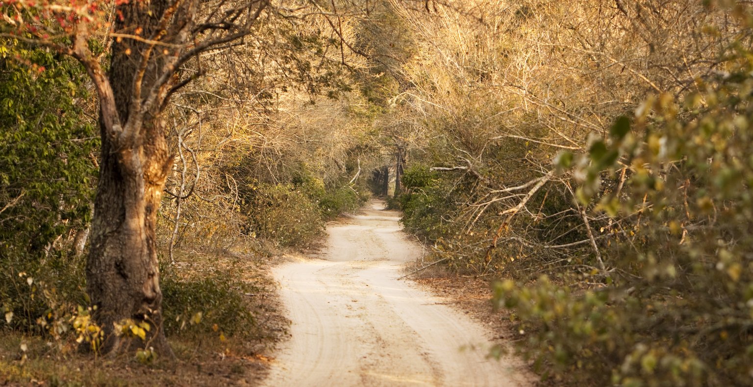 Finden Sie günstige Flüge nach Phinda-Naturschutzgebiet