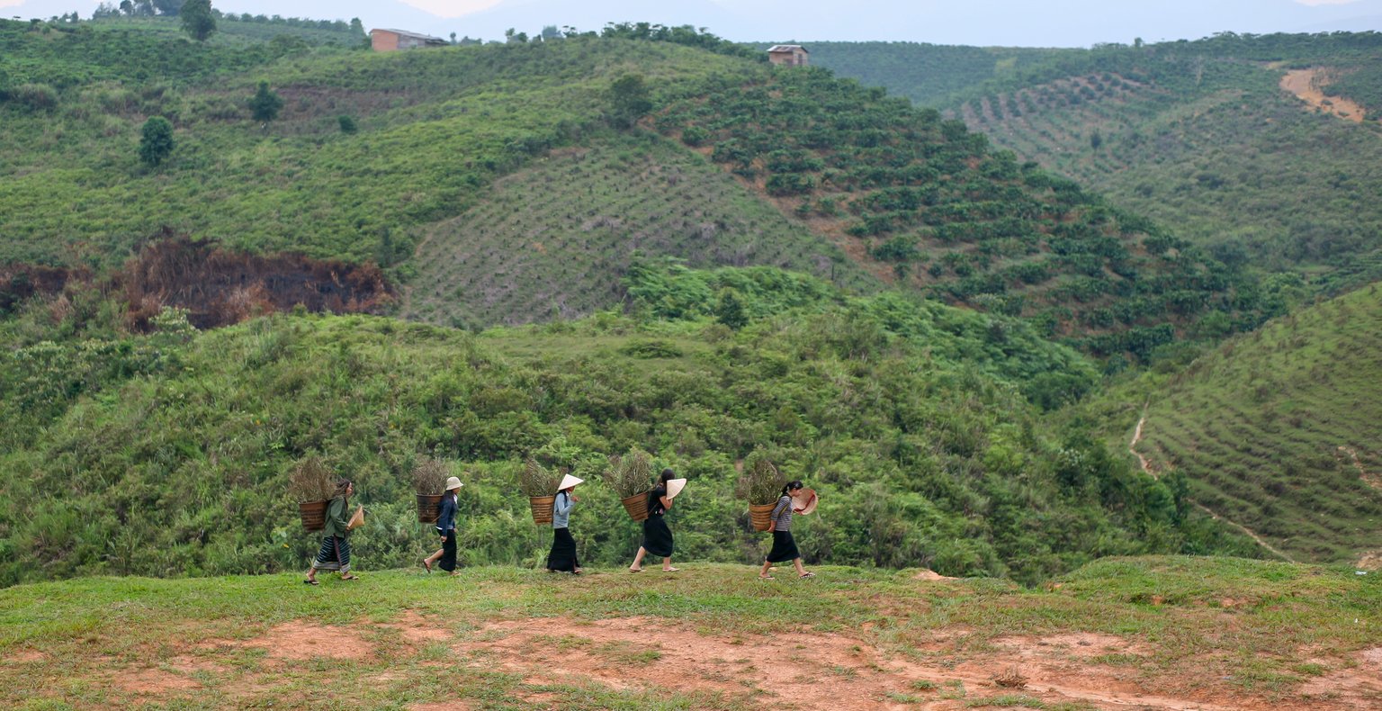 رحلات طيران رخيصة من بيشة إلى بليكو بأسعار تبدأ من 1,460 SR