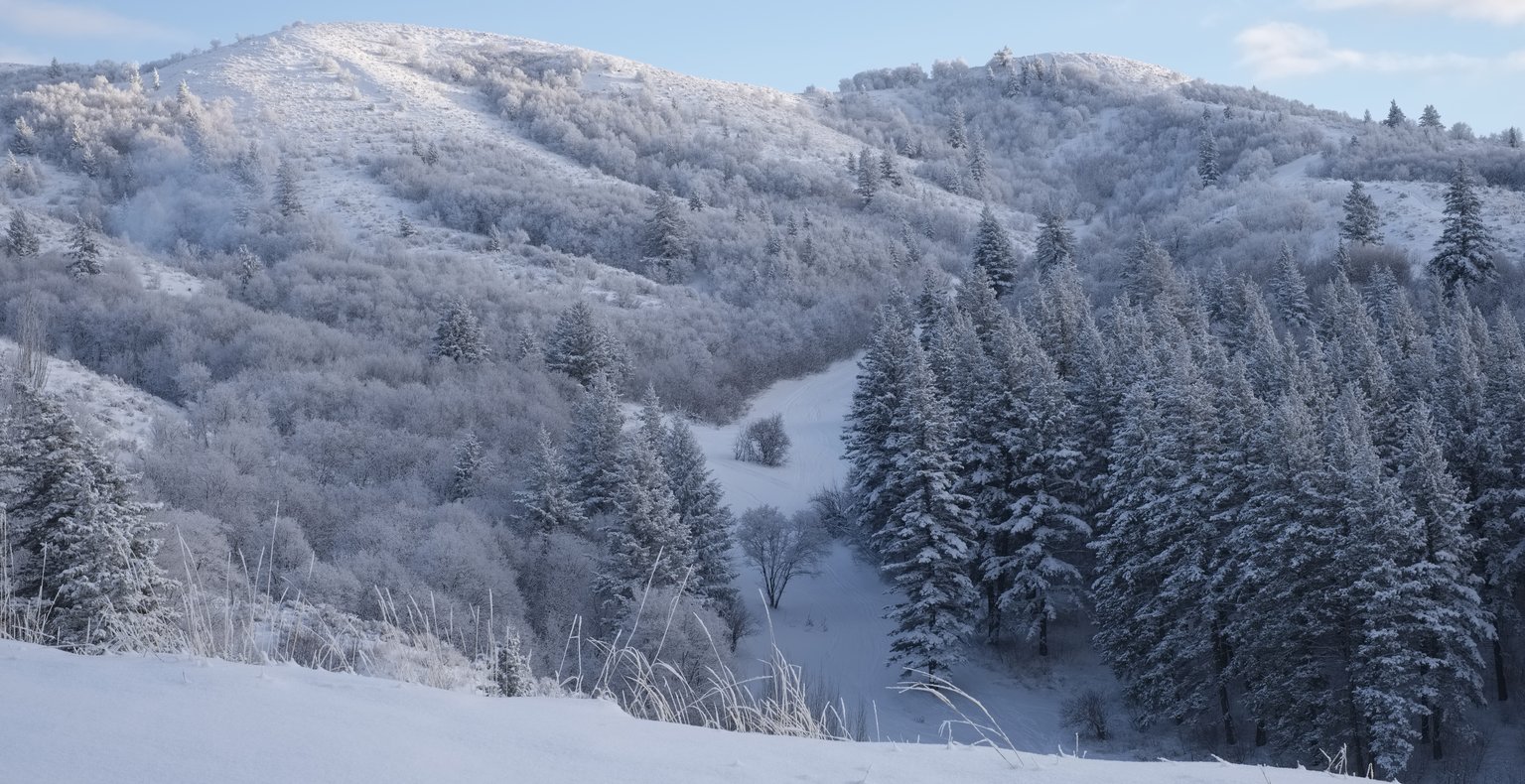 Cheap flights from Monterey to Pocatello from