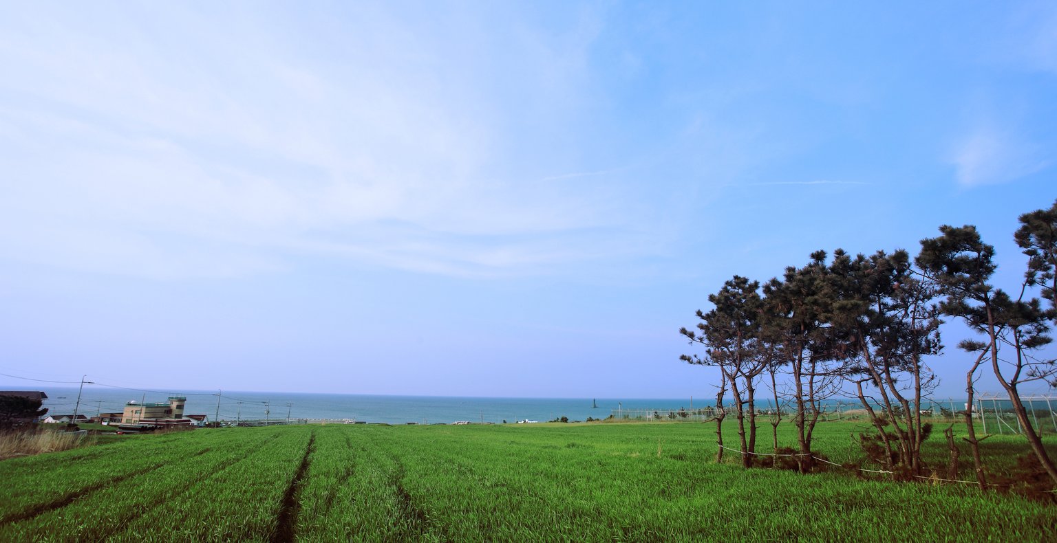 Flights to Pohang, South Korea