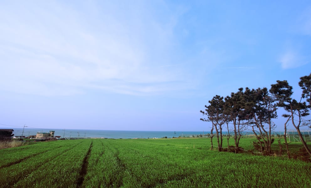 Billig biluthyrning i Pohang, Sydkorea