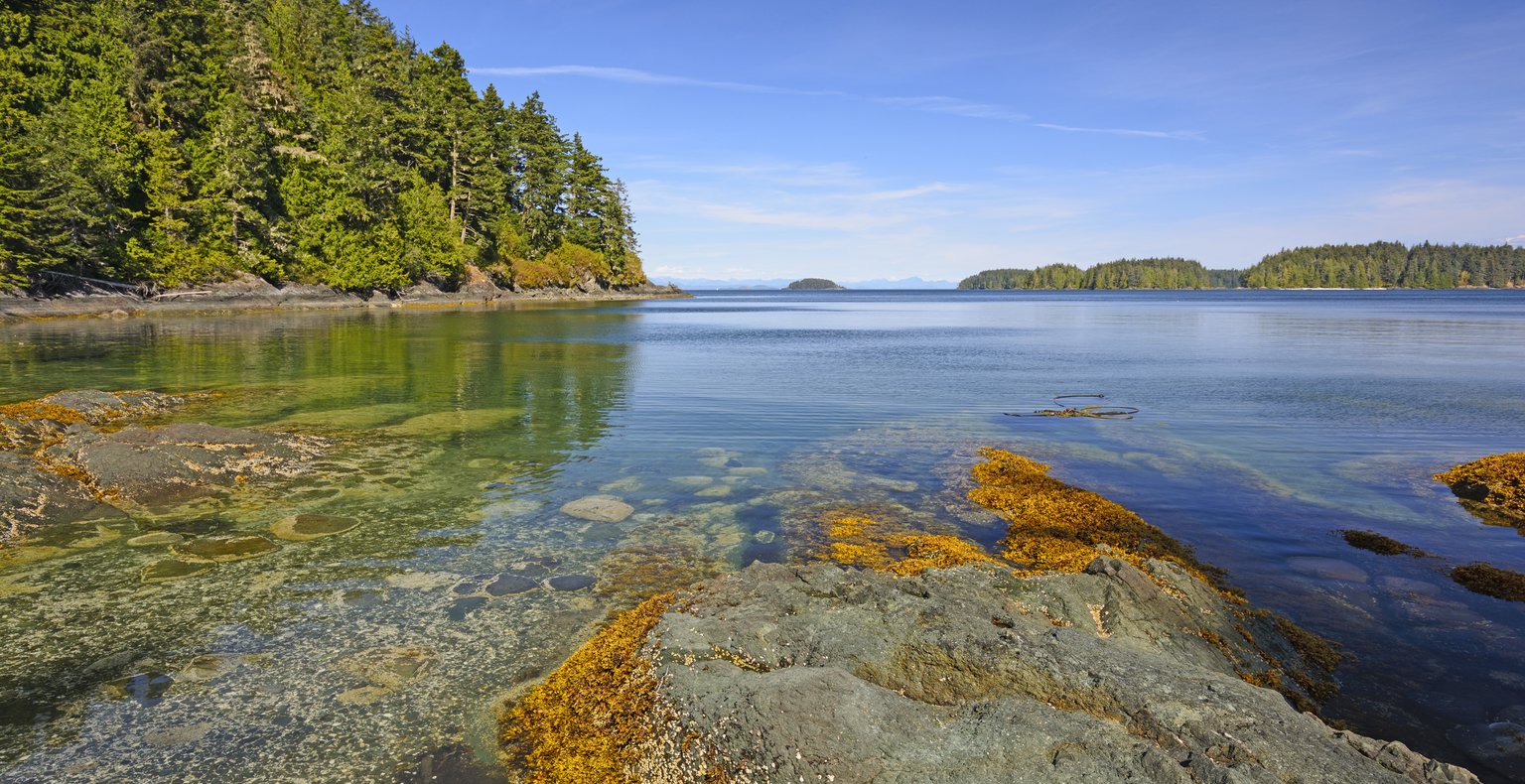 Finden Sie günstige Flüge to Port Hardy