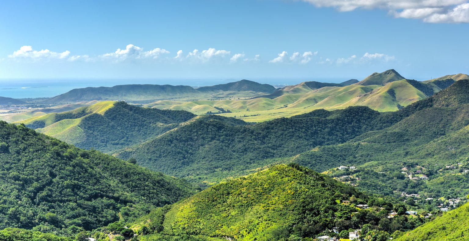 Vuelos baratos de Medellín a Puerto Carreño a partir de