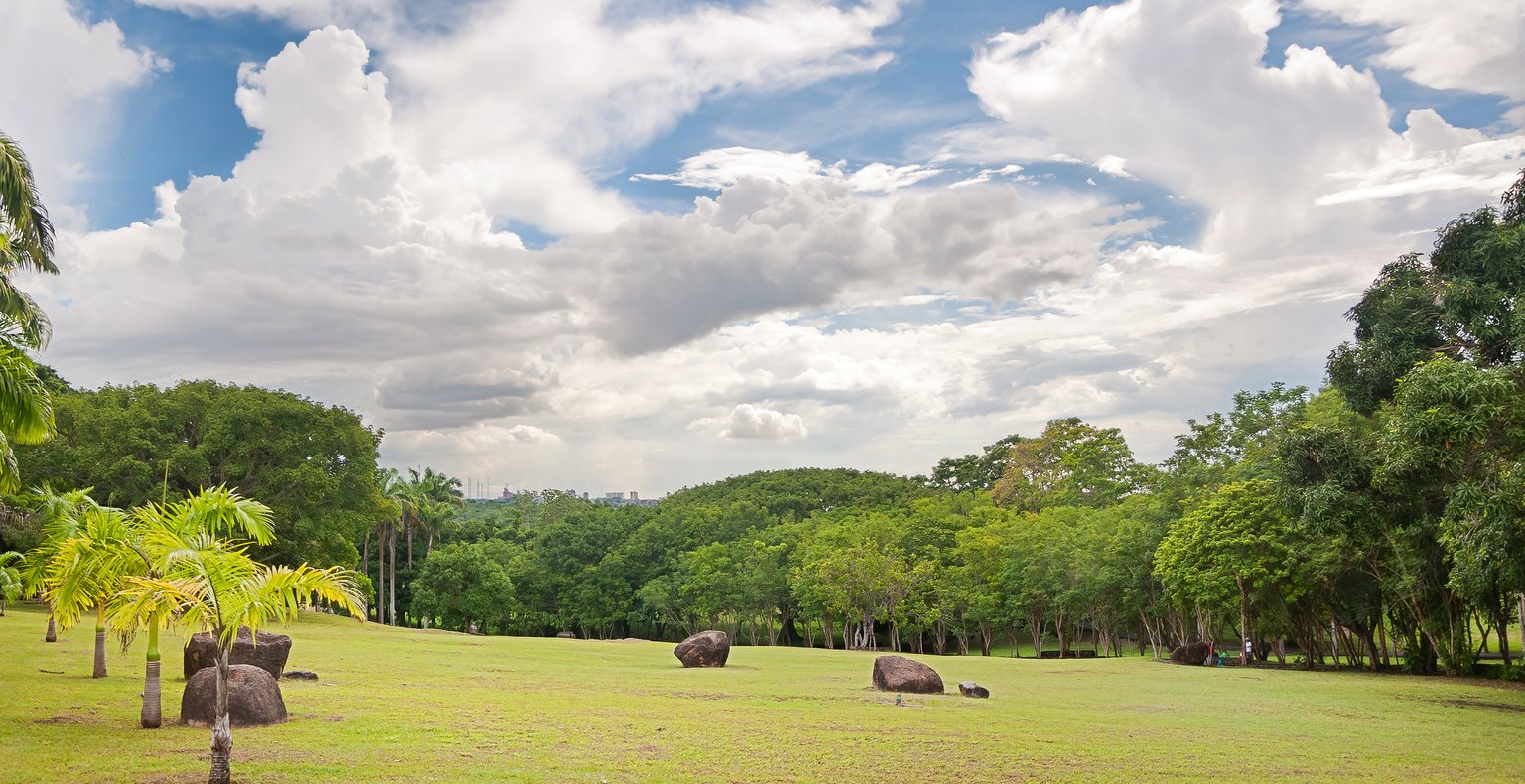 Cheap flights from Bogotá  from $317