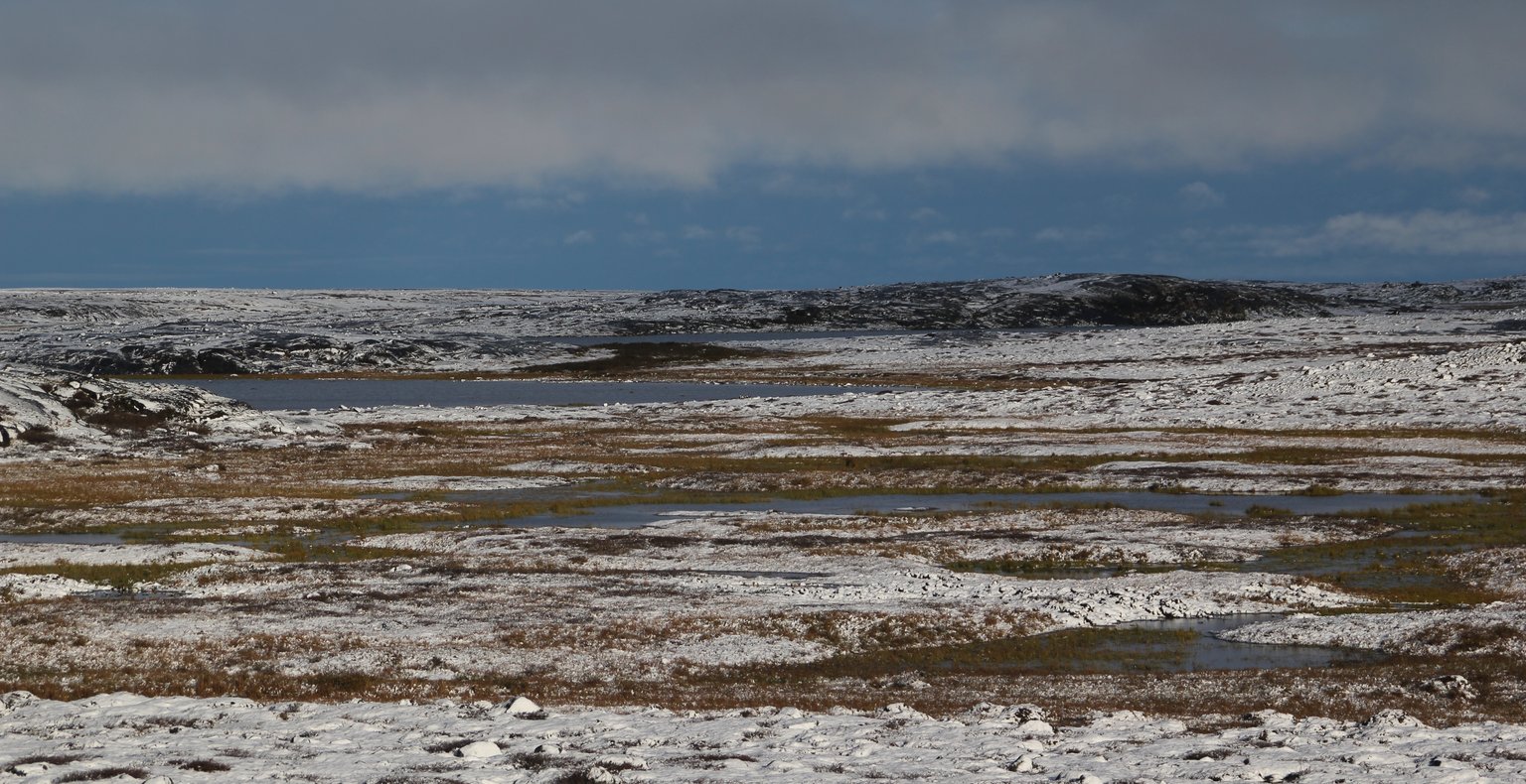 Vols vers Puvirnituq, Canada