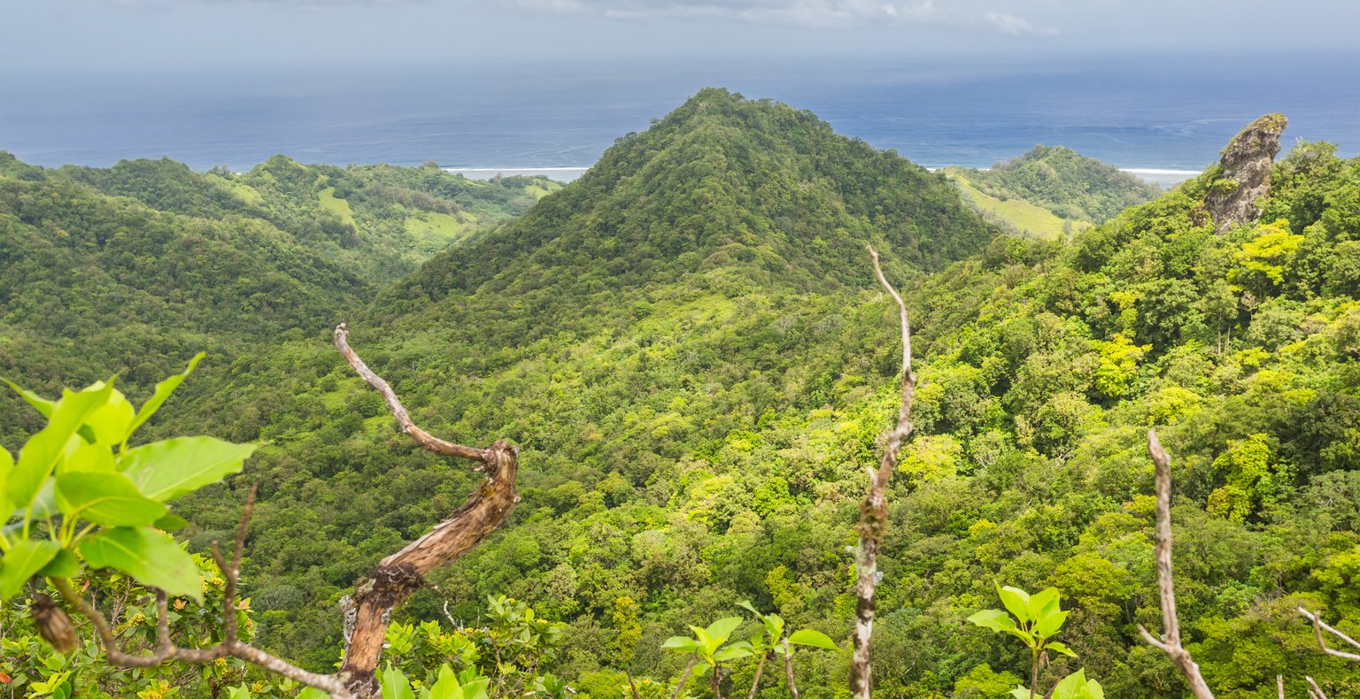 Vuelos baratos de Auckland a Rarotonga a partir de 129 €