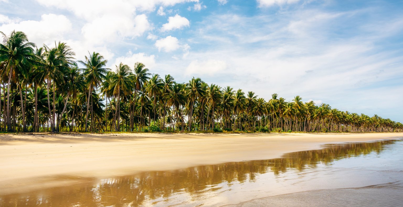 Cheap flights from Angeles to San Vicente from $77