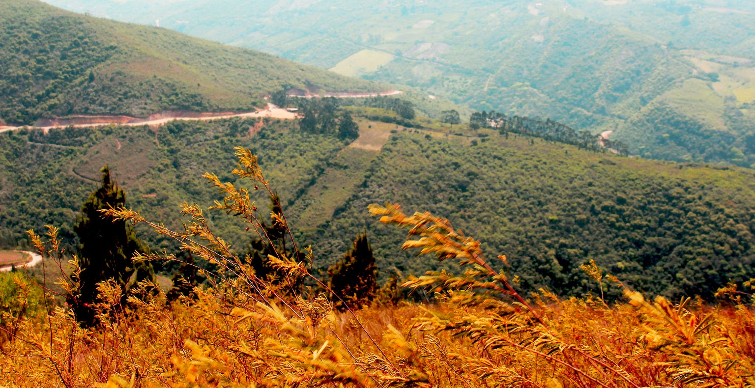 Cheap flights from Washington, D.C. to Santa Cruz de la Sierra from $205