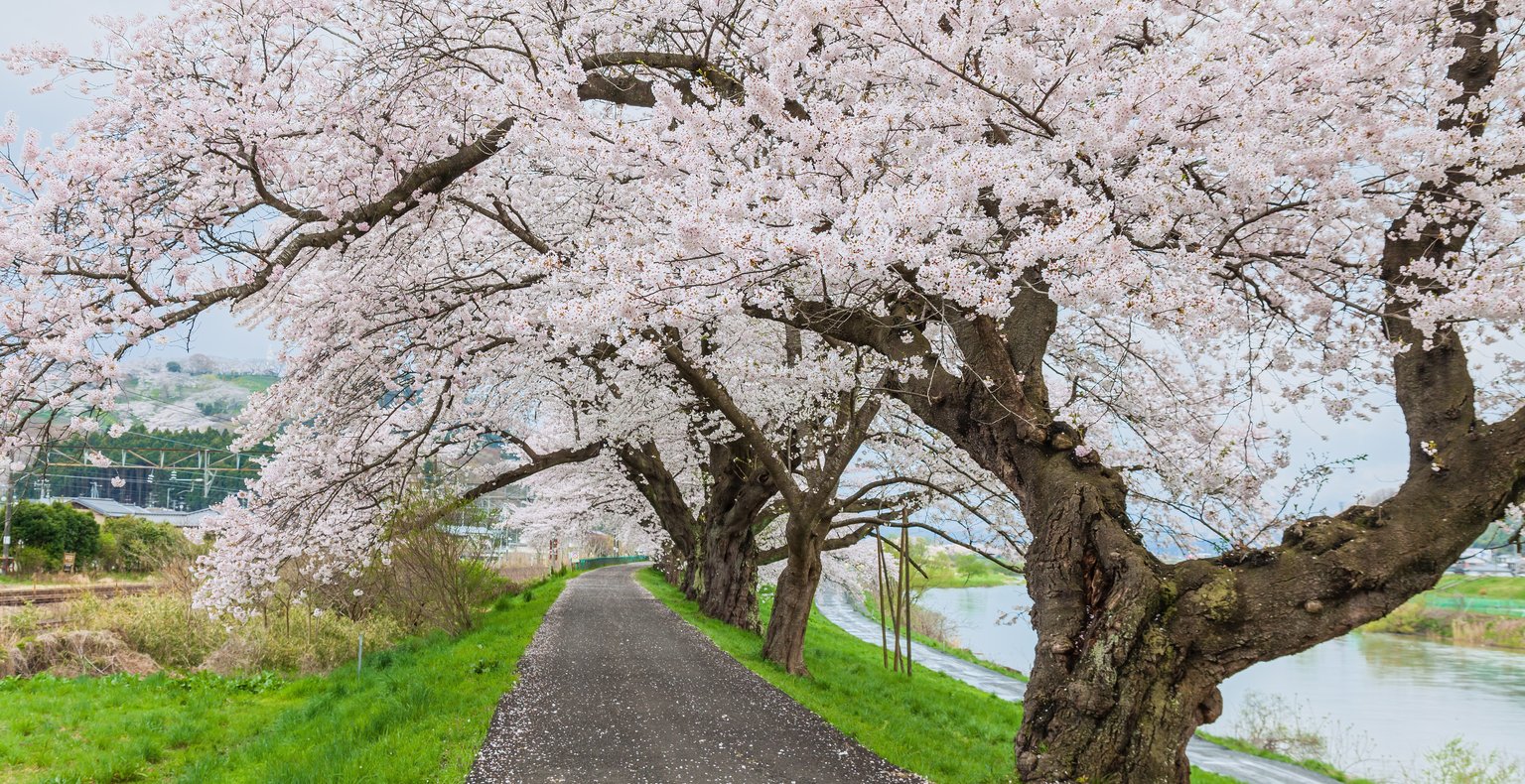 서울 출발 센다이 도착 최저가 항공권 ¥16,921부터